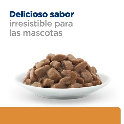 Comida húmeda para mascotas en salsa servida en un plato blanco. Texto visible: Delicioso sabor irresistible para las mascotas.