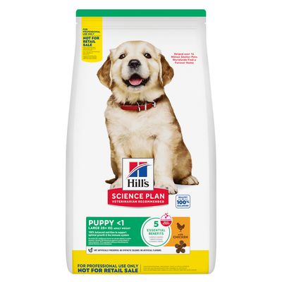 Hill's Science Plan Puppy <1 Large 25kg+ kananlihalla. Tukee pentujen immuunijärjestelmää ja tervettä kasvua. Ei keinotekoisia säilöntäaineita, värejä tai aromeja.