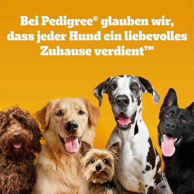 Mixpaket Pedigree Riesenknochen
