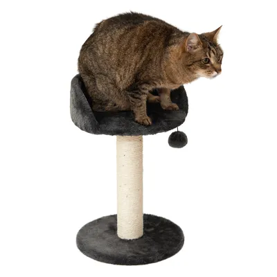 Krabpaal met grijze pluche bekleding, sisal krabstam en speelbal. Kat zit op het bovenste platform. Krabpaal met grijze pluche bekleding, sisal krabstam en speelbal. Kat zit op het bovenste platform.