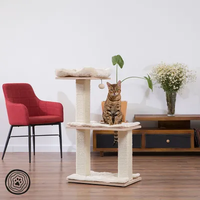 Kratzbaum mit zwei Ebenen, Sisalstämmen und gepolsterten Liegeflächen. Bengal-Katze sitzt auf unterer Ebene. Hintergrund: roter Stuhl, Holzmöbel und Blumenvasen.