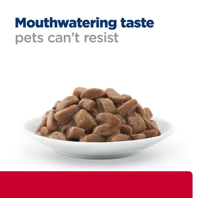 Bowl of meaty chunks in gravy with text: Mouthwatering taste pets can’t resist.