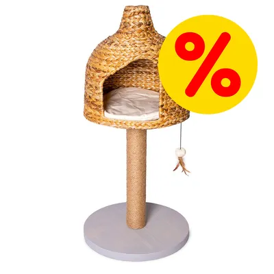 Tiragraffi per gatti in vimini con cuccia rialzata, base rotonda in legno, colonna rivestita in corda, cuscino interno e gioco con piume. Simbolo di percentuale su sfondo giallo. Tiragraffi per gatti in vimini con cuccia rialzata, base rotonda in legno, colonna rivestita in corda, cuscino interno e gioco con piume. Simbolo di percentuale su sfondo giallo.