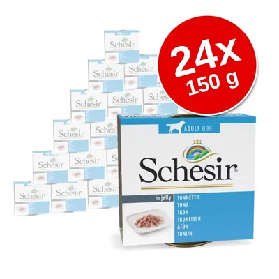 Schesir Adult Dog in jelly, tuńczyk. Zestaw 24 x 150 g. Opakowanie z widoczną nazwą produktu i zdjęciem karmy na talerzu.