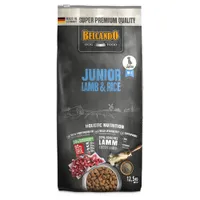 Belcando Junior Lamb & Rice - 12,5 kg 