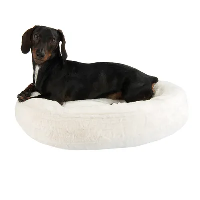 Petit chien noir allongé sur un coussin rond blanc en tissu peluche, fond blanc. Aucun texte ou marque visible.