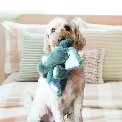 Hund hält ein graues Plüschspielzeug in Form eines Elefanten im Maul, sitzend auf einem Bett mit gestreiften und gemusterten Kissen.