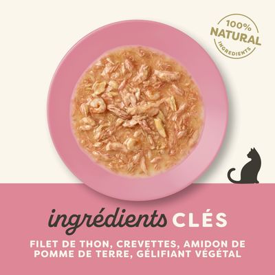 Lot économique Applaws Cat en sauce 12 x 70 g