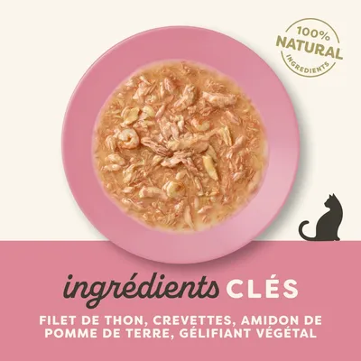  Lot économique Applaws Cat en sauce 48 x 70 g - filet de thon avec maquereau