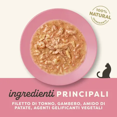 Applaws in salsa 12 x 70 g - Filetto di tonno
