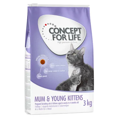 Sac de croquettes Concept for Life Mum & Young Kittens 3 kg, texte visible : Special Formula, Boosts natural defences, High energy content for mothers, Steady growth. Chats illustrés.
