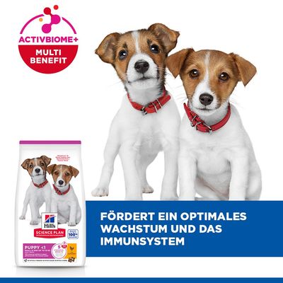 Hill's Science Plan Puppy <1 Small & Mini mit Huhn - 6 kg