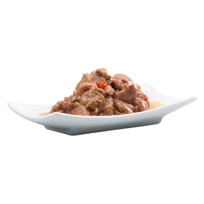 Portion de nourriture humide pour animaux, morceaux de viande en sauce avec quelques légumes visibles, servie dans une assiette blanche sur fond blanc.