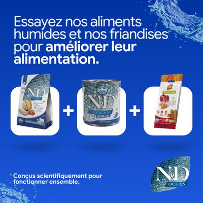 ND Ocean croquettes, aliments humides et friandises dentaires côte à côte. Développé scientifiquement pour une nutrition optimale.