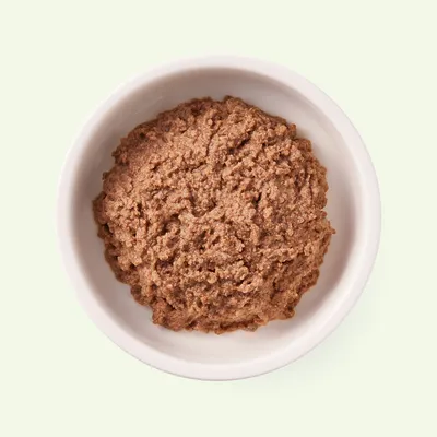 Close-up of brown wet food in a white bowl, suitable for product description.