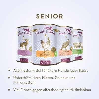 Terra Canis Senior Getreidefrei 6 x 800 g - Huhn mit Gurken, Kürbis und Gesundheitskräutern