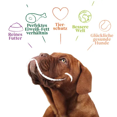 Texte en allemand : Reines Futter, Perfektes Eiweiß-Fett verhältnis, Tierschutz, Bessere Welt, Glückliche gesunde Hunde, avec illustrations et un chien marron en dessous.