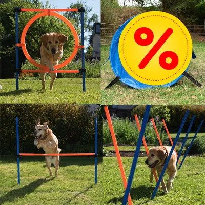 Hundesport-Set mit Sprungring, Hürden und Slalomstangen. Gelbes Rabatt-Symbol auf blauem Hintergrund zeigt Sonderangebot.