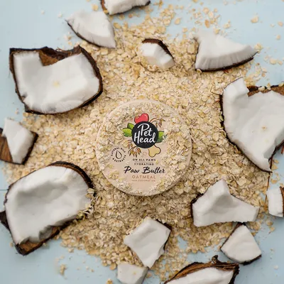 Pet Head Paw Butter Oatmeal mit Kokosöl, feuchtigkeitsspendend für Pfoten. Enthält natürliche Öle und Extrakte. Verpackung umgeben von Haferflocken und Kokosstücken.