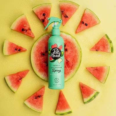 Pet Head Furtastic Knot Detangler Spray met watermeloengeur en sheaboter, 300ml. Fles voor watermeloenplakken op gele achtergrond. Pet Head Furtastic Knot Detangler Spray met watermeloengeur en sheaboter, 300ml. Fles voor watermeloenplakken op gele achtergrond.