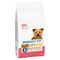 Perfect Fit Adult Hond (<10 kg) Hondenvoer 6 kg