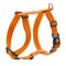 HUNTER Geschirr London Vario Rapid, orange Größe XXS-XS: 32-52 cm Bauchumfang
