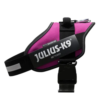 Pettorina per cani Julius-K9 IDC® Power, colore viola con scritta visibile 'JULIUS-K9 IDC® POWER' e fibbia in plastica nera.