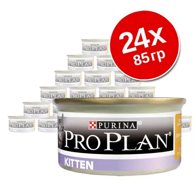 24 банки по 85 г Purina Pro Plan Kitten. На изображении упаковка консервов для котят с видимым брендом и надписью 'KITTTEN'. 24 банки по 85 г Purina Pro Plan Kitten. На изображении упаковка консервов для котят с видимым брендом и надписью 'KITTTEN'.