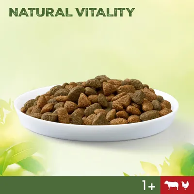 Natural Vitality, kuivaruoan annos valkoisella lautasella. Kuvassa naudan ja kanan symbolit sekä ikäsuositus 1+ vuotta. Natural Vitality, kuivaruoan annos valkoisella lautasella. Kuvassa naudan ja kanan symbolit sekä ikäsuositus 1+ vuotta.