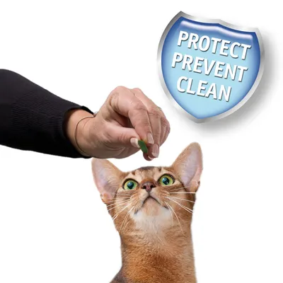 Hand giving a tablet to a cat, with a shield icon showing the words 'Protect Prevent Clean', indicating product use and benefits.
