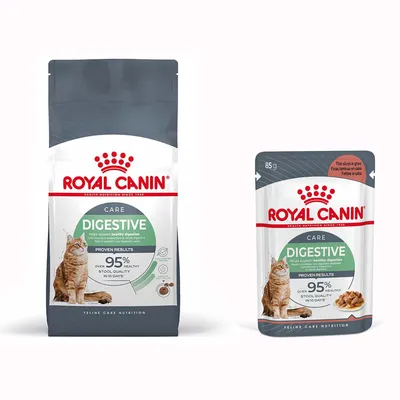 Małe opakowanie Royal Canin Special Care + 12 x 85 g karma mokra Royal Canin - Digestive Care, 4 kg + Digest Sensitive w sosie, 12 x 85 g