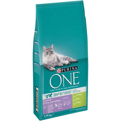 Purina ONE Bifensis Dual Defence Sensitive dry cat food, 9.75 kg bag, visible text includes 'Visible Health for Today and Tomorrow', turkey flavour, with image of a grey cat on front.