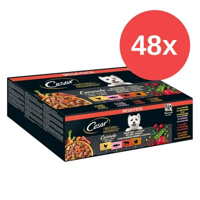 Cesar Natural Goodness Casserole Mega-Pack, 48x100g, getreidefrei mit Superfoods. Sorten: Huhn, Rind, Lamm und Truthahn. Für kleine Hunde geeignet. Cesar Natural Goodness Casserole Mega-Pack, 48x100g, getreidefrei mit Superfoods. Sorten: Huhn, Rind, Lamm und Truthahn. Für kleine Hunde geeignet.