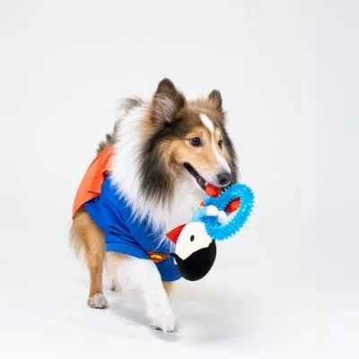 Warner Bros.™ DC Jouet pour chien Superman avec anneau - env. L 17 x l 16 x H 5 cm