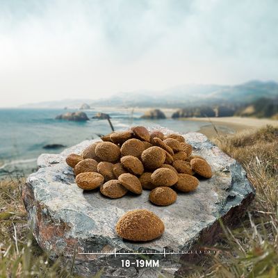 Brown, round kibbles on a stone with size indication 18-19mm. Background shows a landscape with sea and hills.