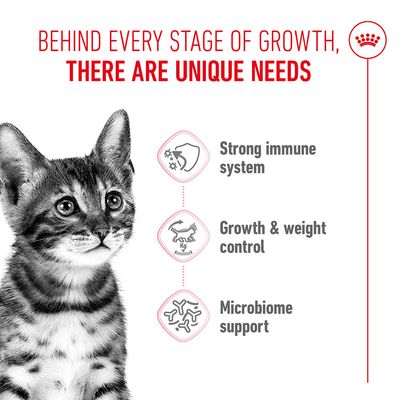 Behind every stage of growth, there are unique needs. Strong immune system, growth & weight control, microbiome support.