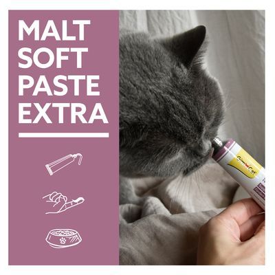 Kat likt aan tube GimCat Malt Soft Paste Extra; links tekst: MALT SOFT PASTE EXTRA met illustraties van een tube, hand met pasta en voerbakje.