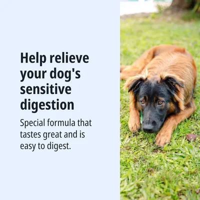 Aiuta la digestione sensibile del tuo cane. Formula speciale, gustosa e facilmente digeribile. Aiuta la digestione sensibile del tuo cane. Formula speciale, gustosa e facilmente digeribile.