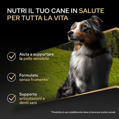 Supporta la pelle sensibile, senza grano, favorisce articolazioni e denti sani. Nota: Prodotto in uno stabilimento in cui vengono lavorati anche cereali.