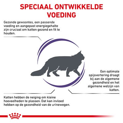 Speciaal ontwikkelde voeding: gezonde gewoontes, aangepast energiegehalte, optimale spijsvertering en urineweggezondheid zijn belangrijk voor katten. Tekst en silhouet van kat zichtbaar.