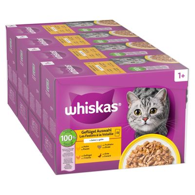 Jumbobalenie Whiskas 1+ Adult kapsičky 144 x 85 g