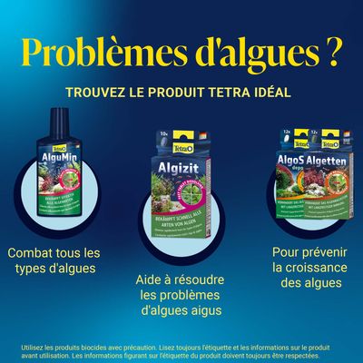Tetra AlguMin combat toutes les sortes d’algues, Tetra Algizit aide en cas de problèmes aigus d’algues, Tetra AlgoS Algetten prévient la croissance des algues. Trouvez le produit adapté contre les algues.