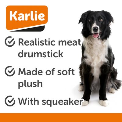 Giocattolo di peluche a forma di osso di carne marrone con accenti rossi e bianchi, adatto per pet.