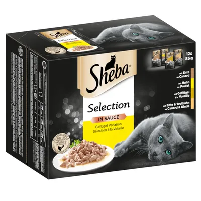 Sheba Selection in Sauce -kastikeruokapakkaus kissoille, 12 x 85 g. Makuja: ankka, kana, siipikarja, ankka & kalkkuna. Pakkauksessa kuva harmaasta kissasta ja annosruoasta.