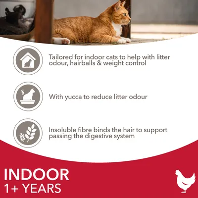 Text på engelska: Tailored for indoor cats to help with litter odour, hairballs & weight control. With yucca to reduce litter odour. Insoluble fibre binds the hair. INDOOR 1+ YEARS.