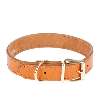 Brunt hundhalsband i läder med guldfärgat spänne och D-ring. Synliga sömmar längs kanterna.