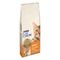 PURINA Cat Chow Adult Salmon & Tuna 15 kg