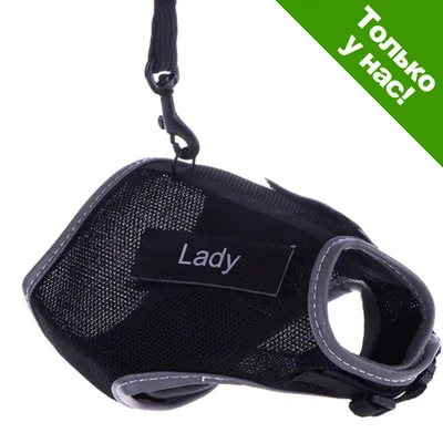 Шлейка из чёрной сетчатой ткани с надписью Lady, карабин для поводка. В углу зелёный значок: Только у нас!