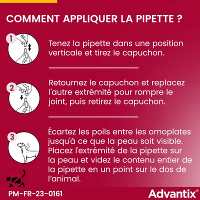 Advantix® très petit chien jusqu'à 4 kg - 6 mois de protection (6 pipettes )