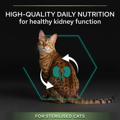 Text: HIGH-QUALITY DAILY NUTRITION for healthy kidney function. FOR STERILISED CATS. Bild på katt med illustration av njurar och pilar.